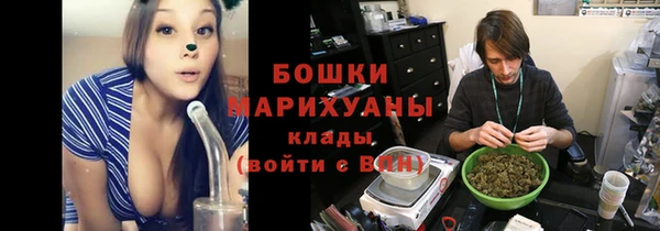 сатива Богданович