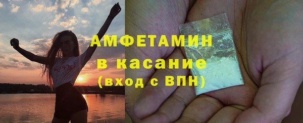 сатива Богданович