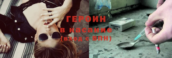 шишки Богородицк