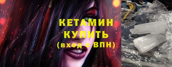 шишки Богородицк