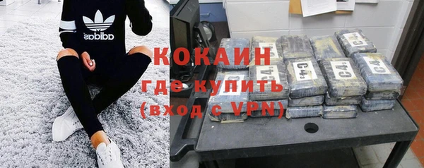 сатива Богданович