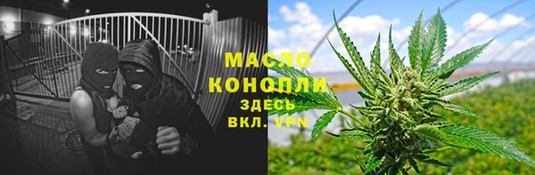 шишки Богородицк